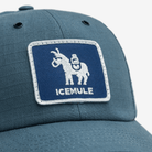 Hat logo detail front Mallard Blue