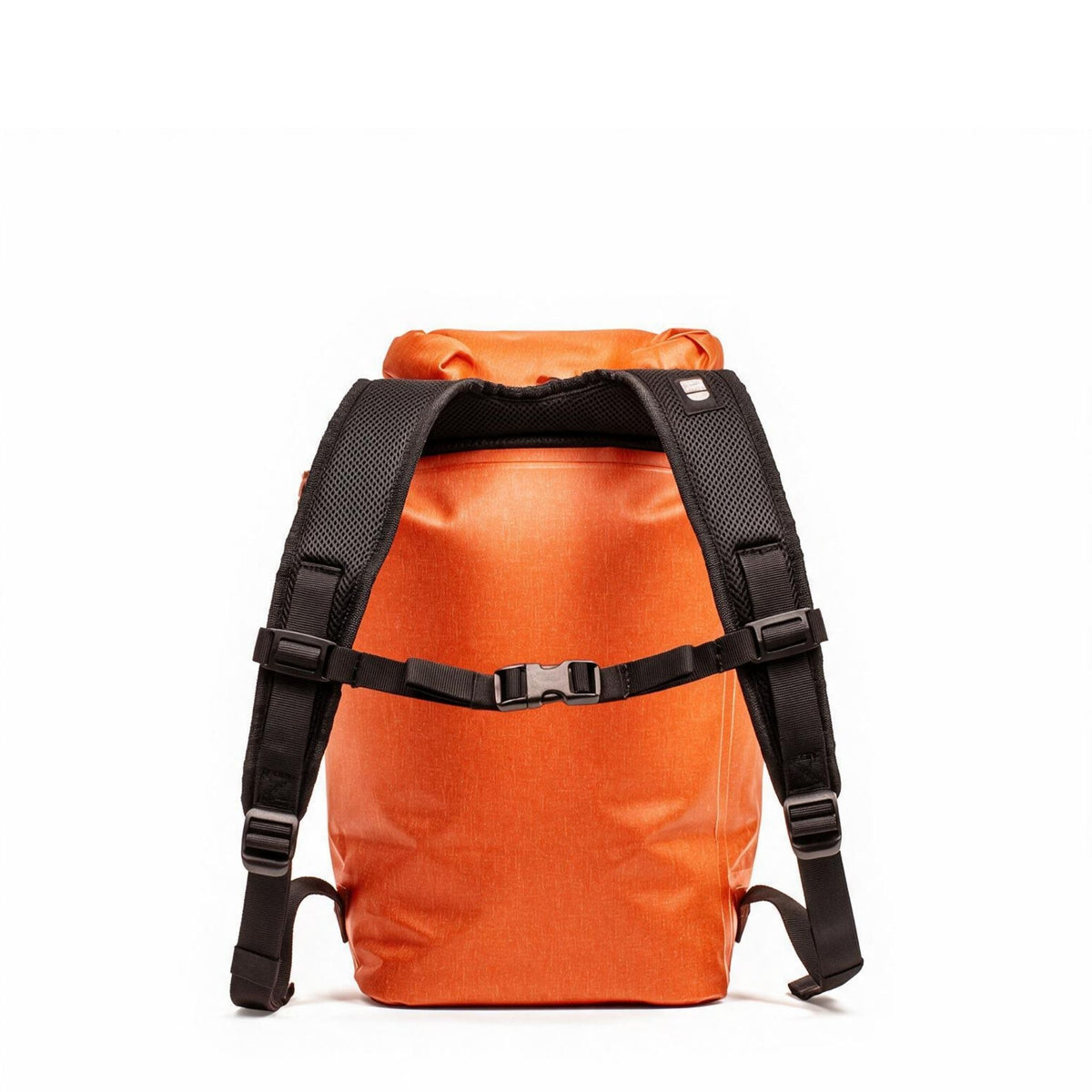 ice ORANGE