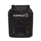 ice MATTE BLACK